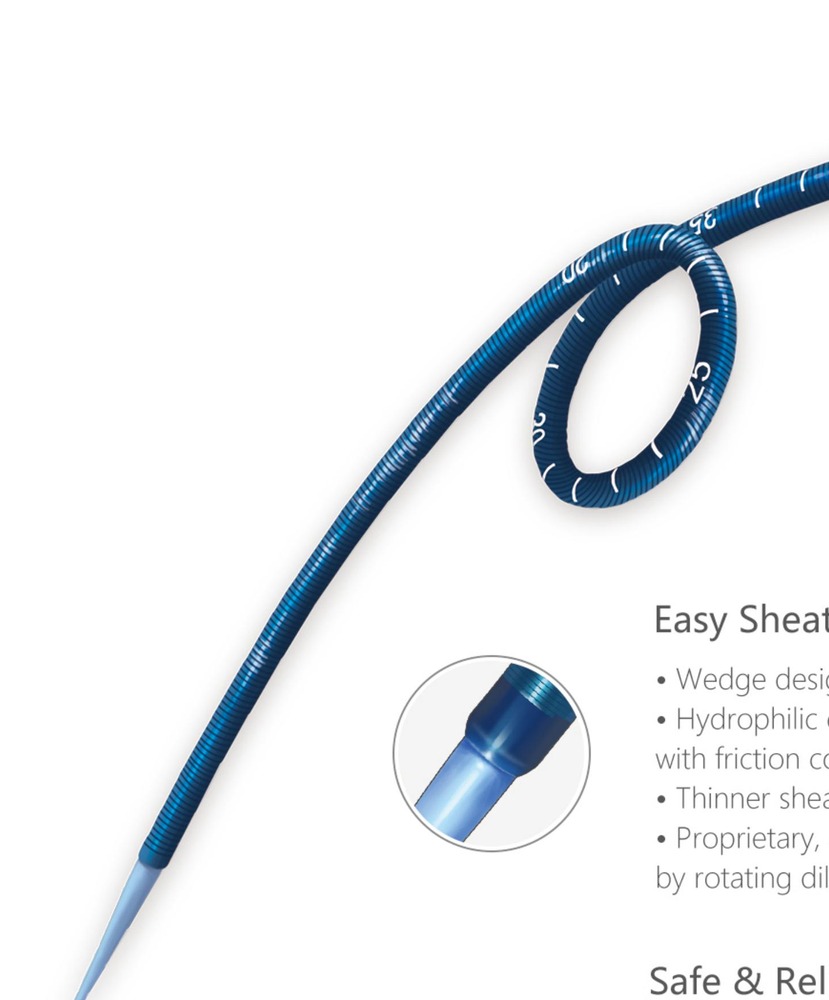 MedTecX ureteral access sheath